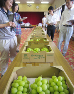 「各地でブドウ品評会、岡田さん最優秀に」の画像