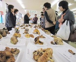 「野生きのこ知識正確に」の画像