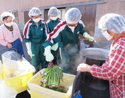 「赤カブ収穫、漬物加工も」の画像