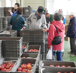 「信州産リンゴ求めて、各地のイベント盛況－JA志賀高原」の画像