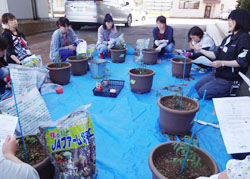 「生活の充実や仲間づくりへ」の画像