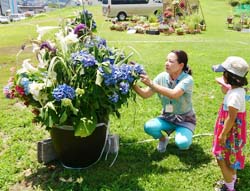 「夏のゲレンデに、創作花壇で彩り」の画像