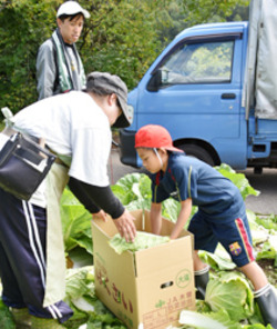 「「御嶽はくさい」の収穫や箱詰め体験」の画像