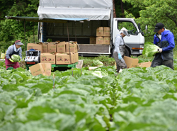 「ブランド力生かし、高付加価値販売を」の画像