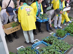 「肥料や苗特売、開店前に行列」の画像