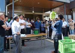 「ハクサイ本番へ、出荷の規格確認」の画像