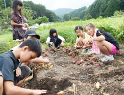 「愛知県の児童が、収穫やそば打ち」の画像