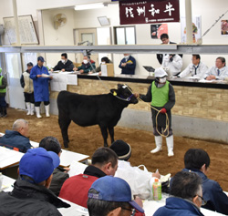 「和牛子牛価格上げ」の画像