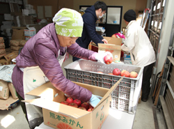 「リンゴ贈り支援 今年も」の画像