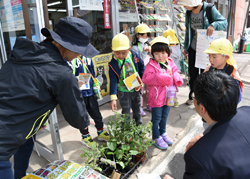 「野菜の苗と種、園児が買い物」の画像