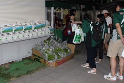 「松本山雅ホーム戦、高原レタスをPR」の画像