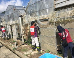 「西日本豪雨に支援隊、園地で復旧作業」の画像