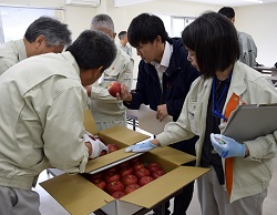 「遠藤さん振興局長賞」の画像