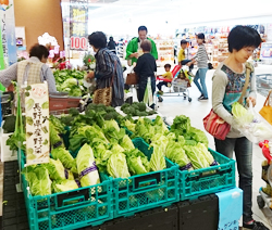 「静岡の2店舗で、ハクサイ宣伝会」の画像