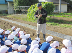 「児童ら楽しくタマネギ定植」の画像