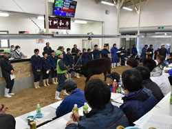 「子牛価格が大幅上昇、需要期入り引き合い」の画像