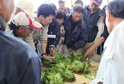 「凍霜対応を確認」の画像