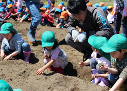 「土と触れ合い 園児生き生き－ジャガイモ収穫楽しみ」の画像