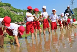 「歩きづらいね」の画像