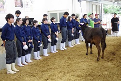 「和牛子牛下げ78万84円」の画像