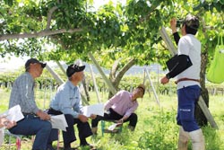 「仕上げ摘果講習会、梨の着果量確保へ」の画像