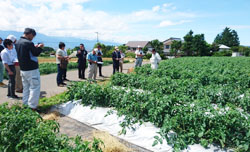 「高収量めざし技術共有」の画像