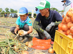 「遊休荒廃地でタマネギ祭り」の画像