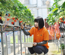 「力になりたい」の画像