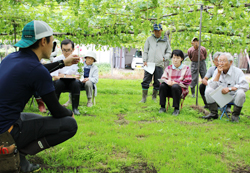 「ブドウ摘粒講習会、軸長や着粒を指導」の画像