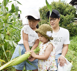「トウモロコシ収穫祭にぎわう」の画像