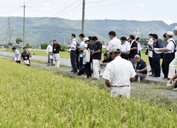 「「山恵錦」拡大へ」の画像