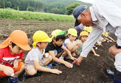 「ダイコン種まき、園児が成長観察」の画像