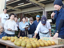 「安定した甘さ食卓に－豊水」の画像