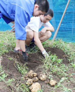 「中学生大喜び」の画像