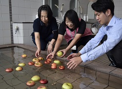 「リンゴと一緒にゆったり　今年も始まる「りんごの湯」」の画像