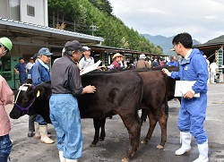 「長野県中央家畜市場　10月家畜市」の画像