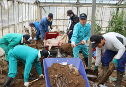 「農家の早期復旧に向け職員を派遣」の画像