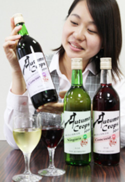 「新酒ワイン「オータムクロープス2019」販売開始」の画像