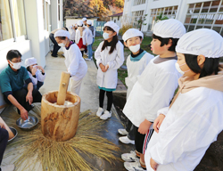 「小海小学校5年生「米作りの収穫祭で餅つき体験」」の画像