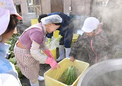 「王滝小学校児童、特産の赤かぶとすんきの漬け込みを体験」の画像