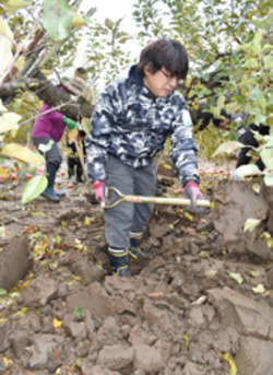 「被災農地復旧へ、農ボラ助けに」の画像