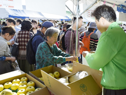 「大北産農産物などをPR　姉妹提携をJAしみずの農協祭に参加」の画像