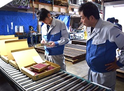「ハウスサクランボ初出荷迎える」の画像