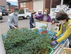 「自ら野菜育て、自給自足率アップ」の画像