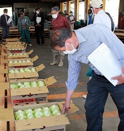 「荷づくりと適期収穫の徹底で良品出荷　今年度販売額24億円目指す」の画像