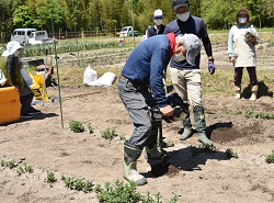 「小菊栽培講習会と穴掘機による排水対策実演講習会開催」の画像