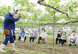 「今年の無核ぶどう栽培に向け講習会開催」の画像