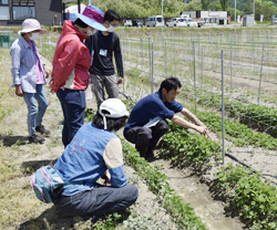 「直売所等出荷者増加に向けて　大北園芸セミナー2回目講座開催」の画像