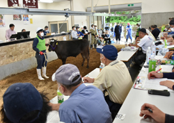 「県中央家畜市場定例6月市開催」の画像