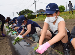 「2か月遅れで開校、農業体験教室「あぐりスクール」」の画像